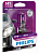 ���������� ����� H1 PHILIPS 12V 55W Vision Plus +60% 